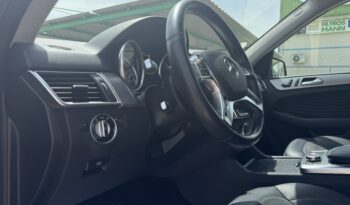 MERCEDES-BENZ Clase M ML 250 BlueTEC 4MATIC lleno